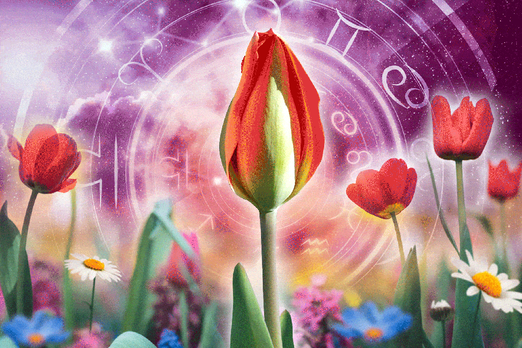What is in the stars for June 2025? Summer solstice is above us - and good luck is changing signs